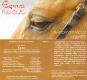 Klapý, Rádobydivadlo, Equus - program, 2006